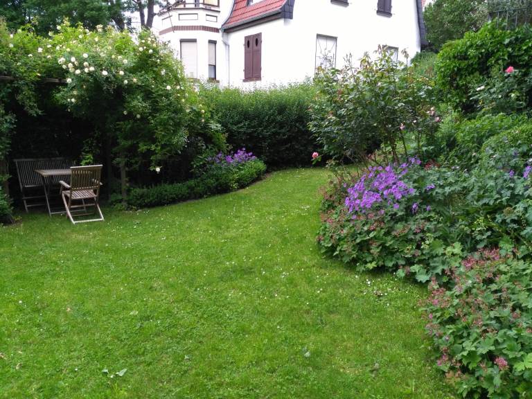 foto23