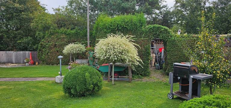 foto15