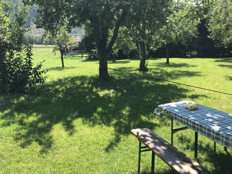 foto33