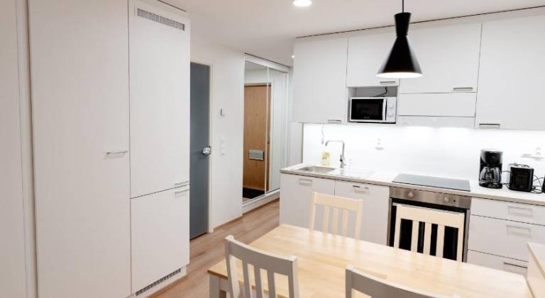 Snowflake Suites VIII with private sauna — photo 3