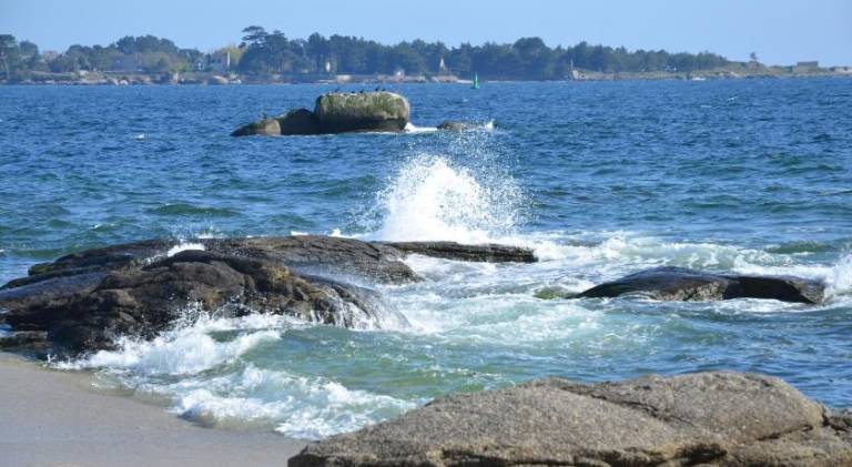 Pleasant rental apartment | Close to the beach | Dogs allowed in Concarneau