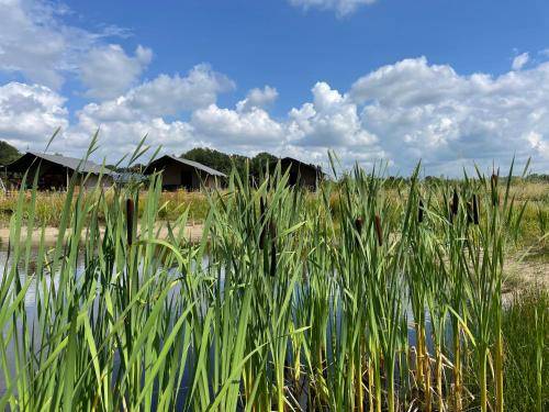 Camping De Heerlijkheid Vorenseinde
