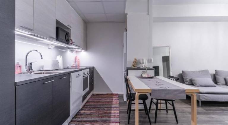 Apartment | Close to Arktikum Science Museum — photo 5