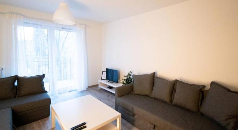 Beautiful rental apartment | Dogs allowed — photo 4