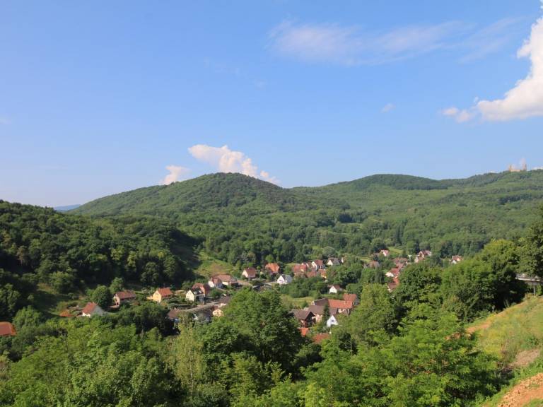 foto42