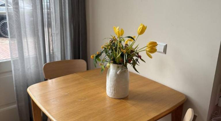 Fully equipped holiday apartment | Close to Bloemenmarkt | Pets are welcome — photo 5
