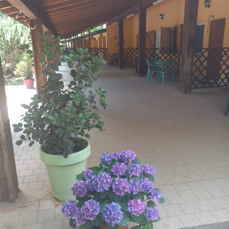 Ca' Marina: Camera tripla — photo 4