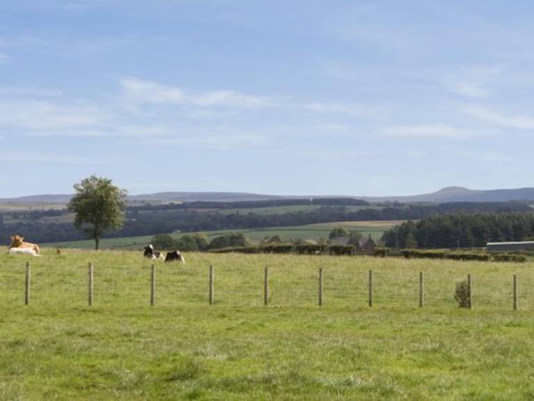 Cottage  Annan, Dumfries and Galloway
