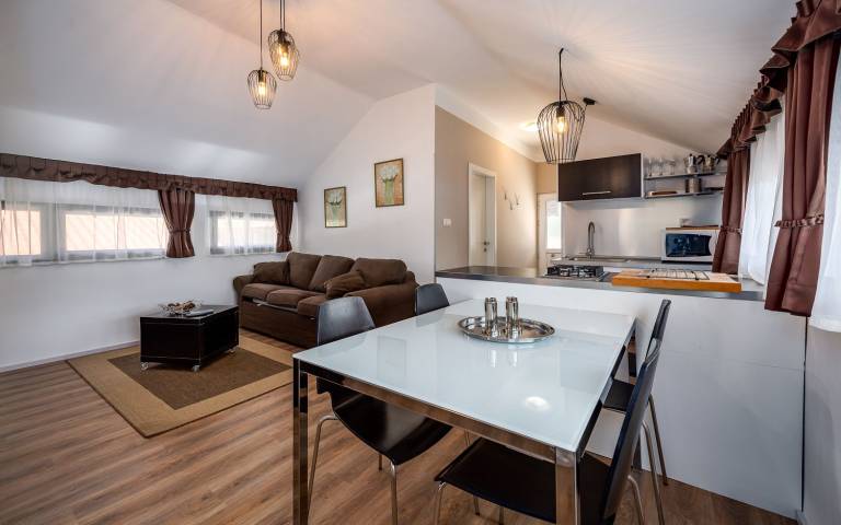 Rental apartment with terrace — photo 4