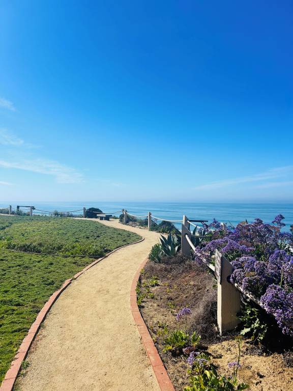 Condo Del Mar