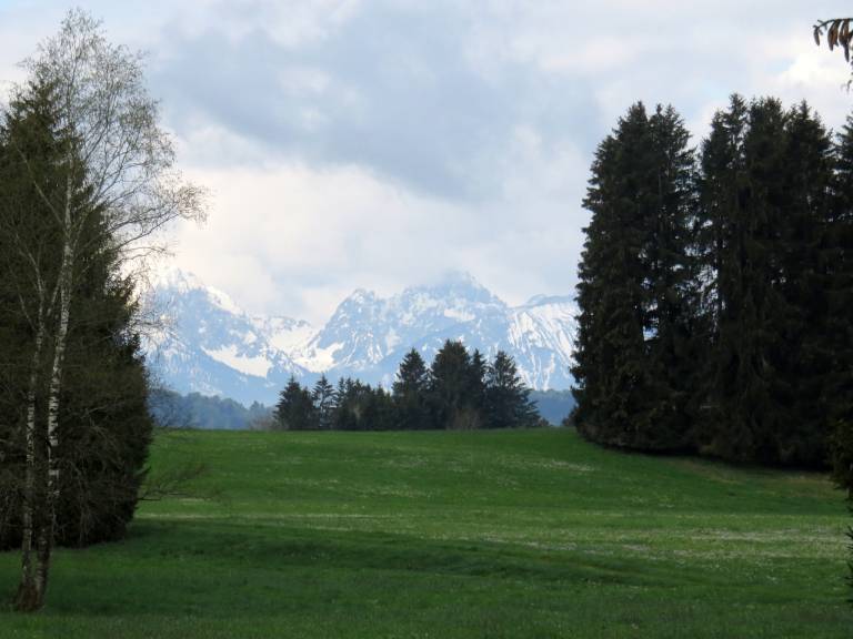foto17