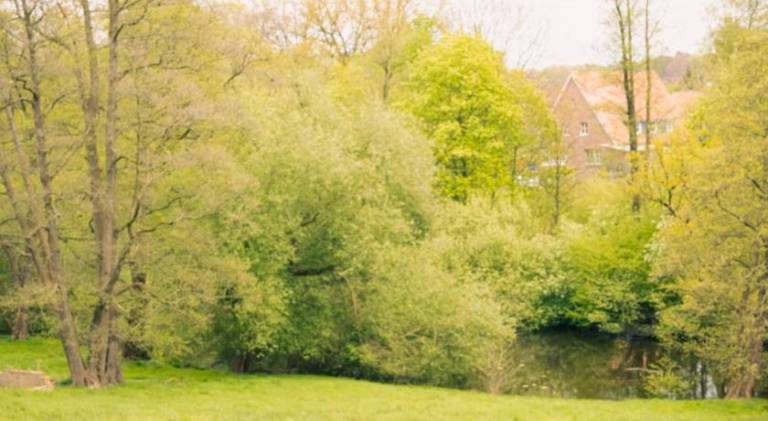 Haus am Walde in Walsrode