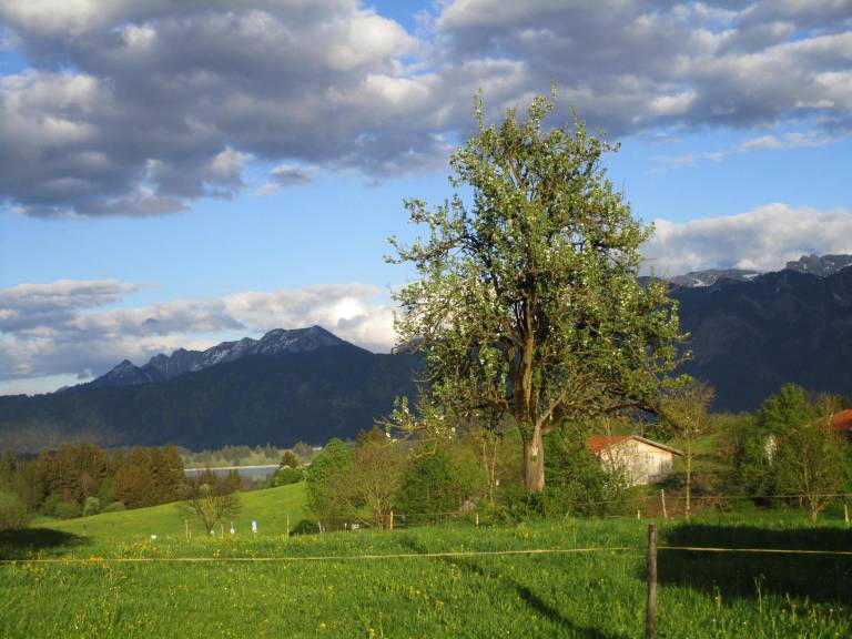 foto10