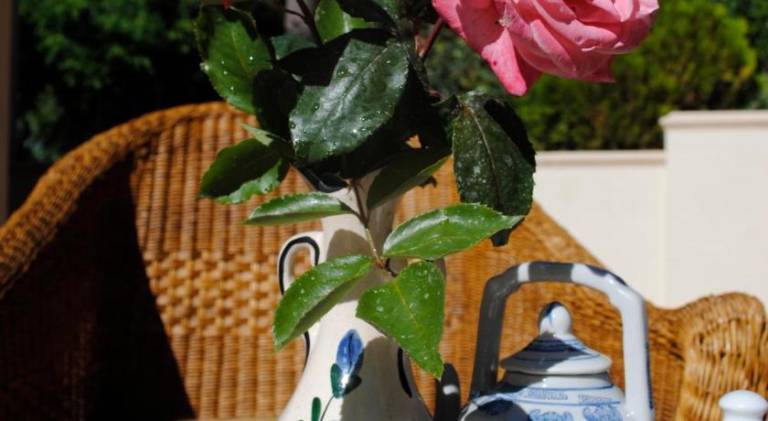 foto7