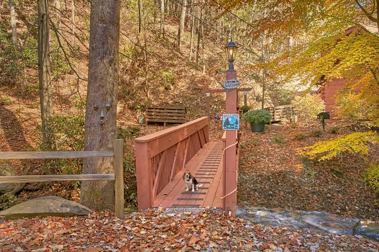 Bear Creek: Creekside, Pet Friendly, Value — photo 4