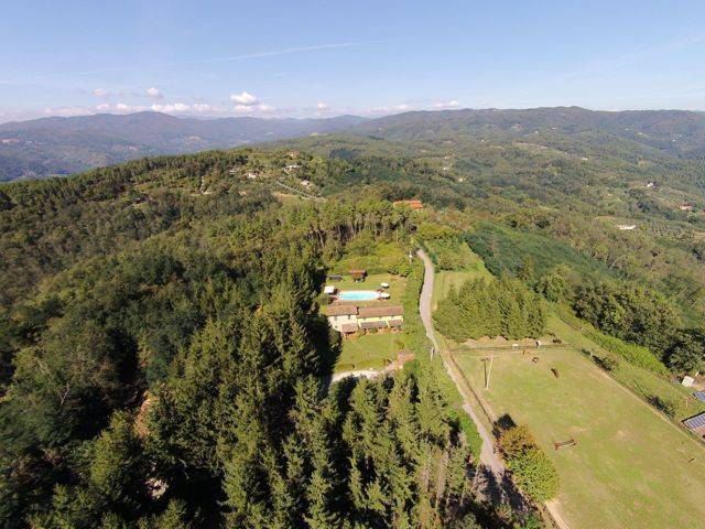 foto11