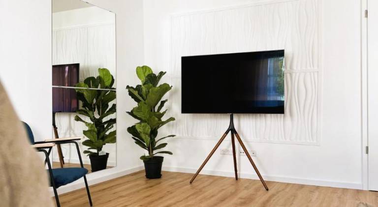 Holiday apartment | Pets allowed in Offenburg