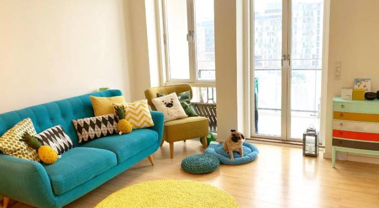 Cute Pug Guest Room in Copenhagen