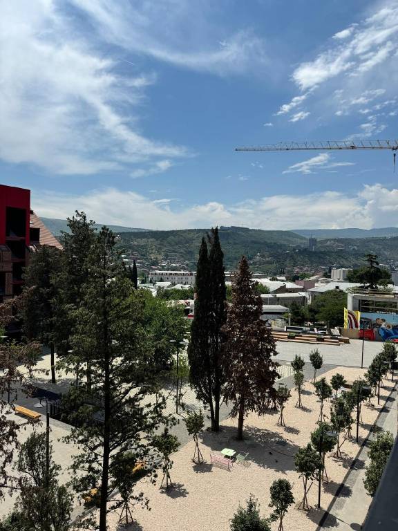 foto5