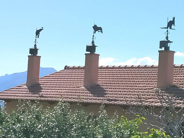 foto45