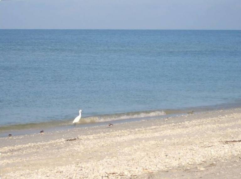 House Sanibel