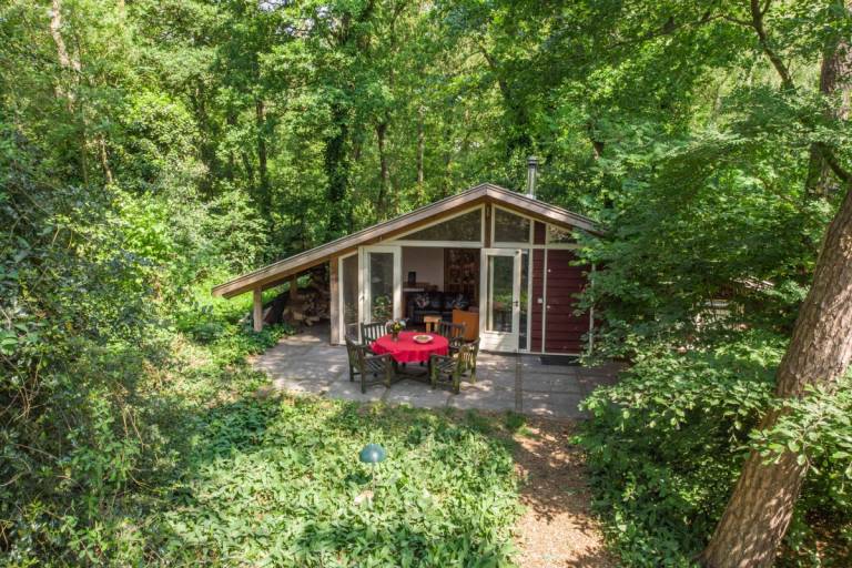 DG647 Ferienhaus im Loenen
