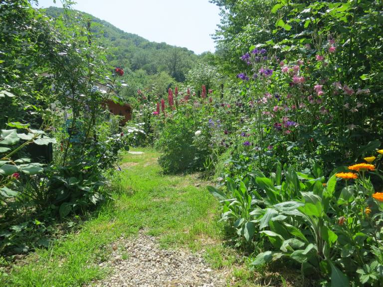 foto13