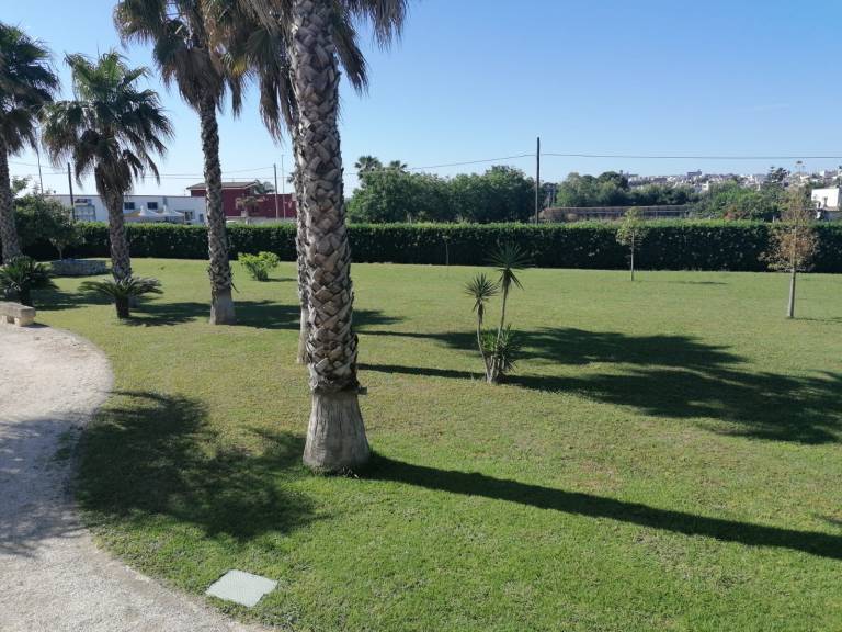 foto10
