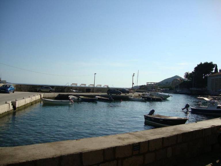 Holiday apartment with yard | Close to the beach | Pets allowed — photo 3