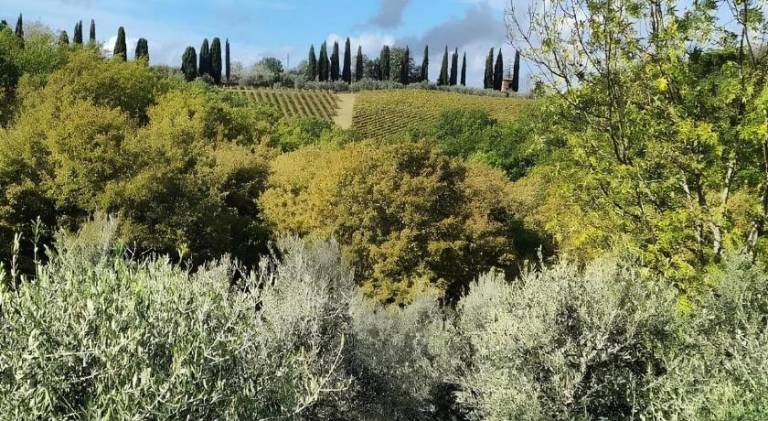 Rental apartment with garden, barbecue & pool | Good for workation in Cascia
