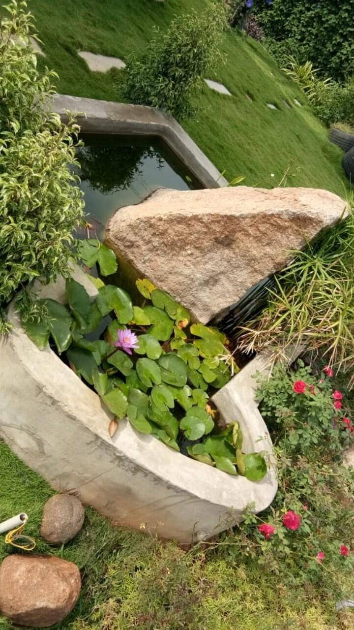 foto37