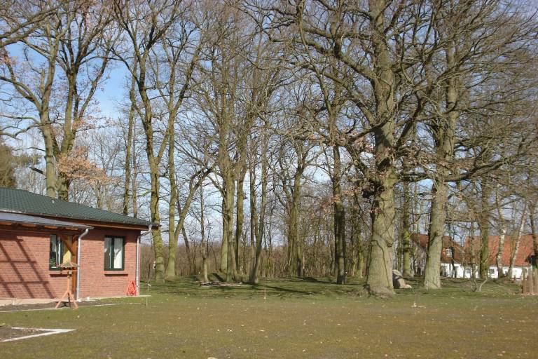 foto14