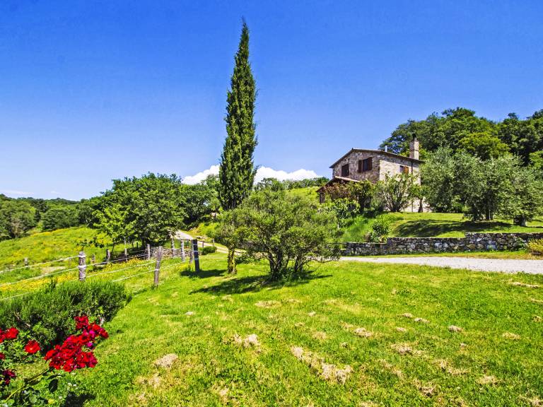 House with barbeque, terrace & private pool | Nature view | Pet-friendly — photo 2