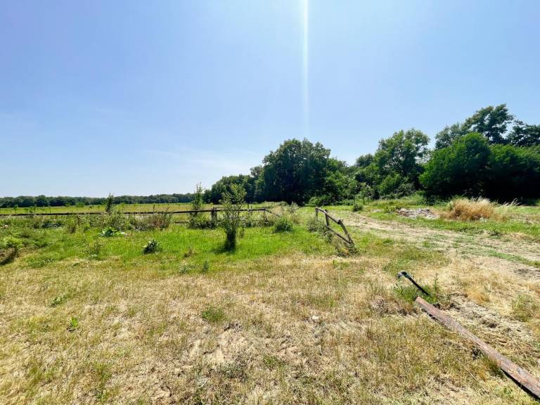 Fully equipped cottage with BBQ & yard | Pets are welcome — photo 3