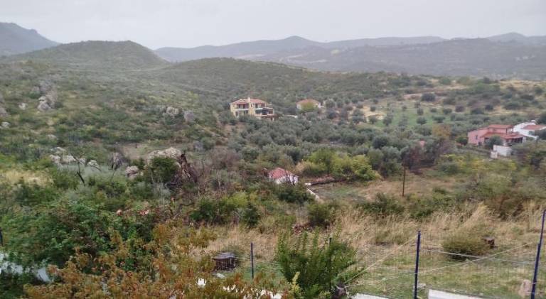 foto46