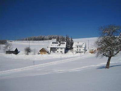 Appartement Titisee-Neustadt