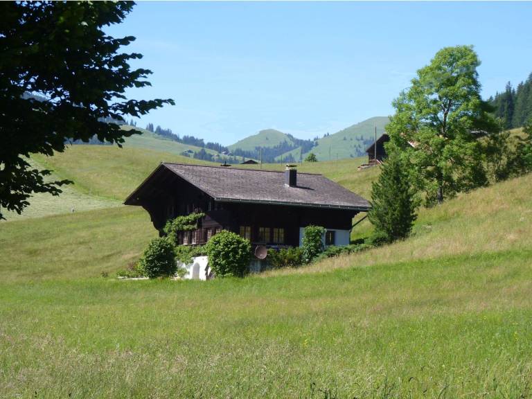 Ferienwohnung  Gstaad