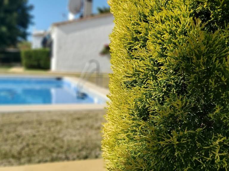 Villa  Marbella