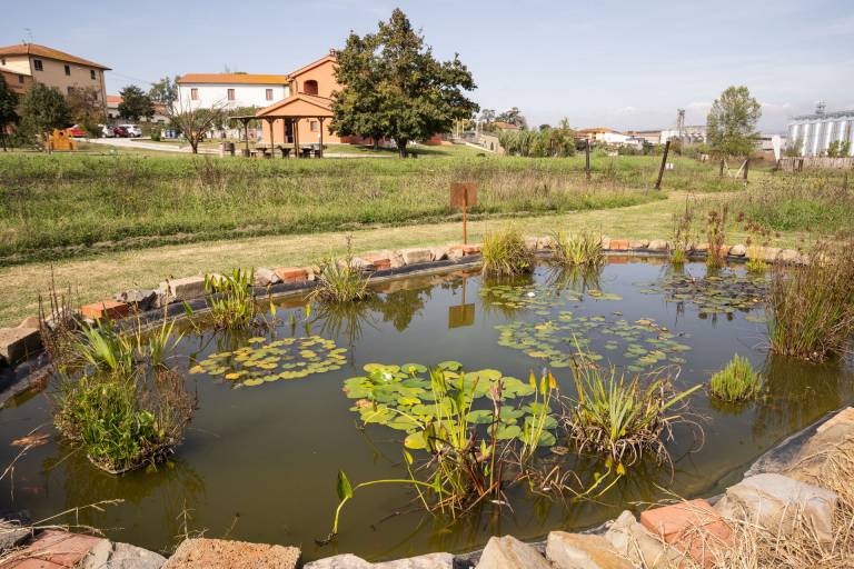 foto15