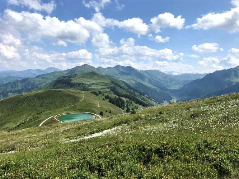 foto42