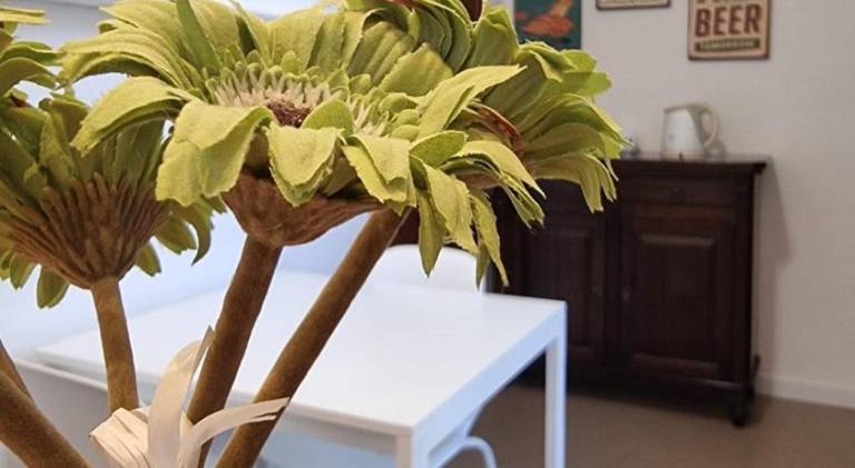 Apartment | Pets are welcome in Prato