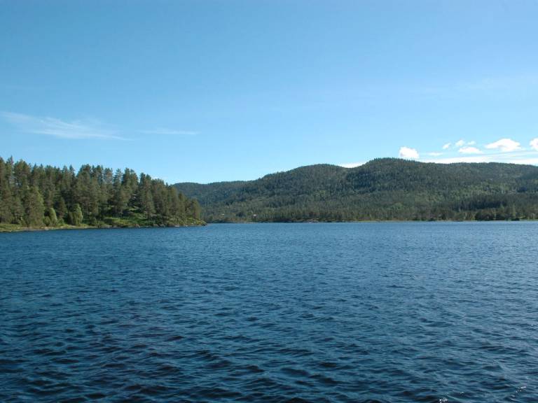 foto15