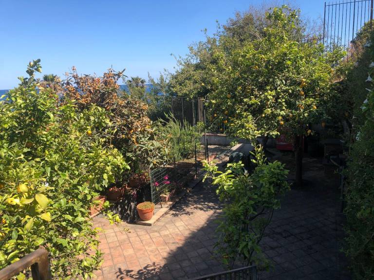 foto37