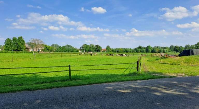 foto25