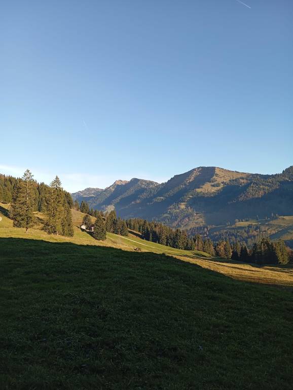 foto16
