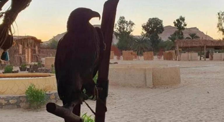 Tijan Siwa in Siwa