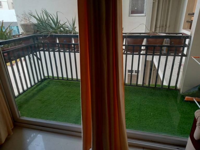 foto8