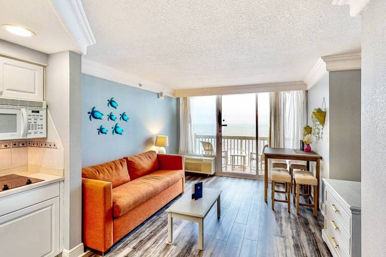 49 m² Studio