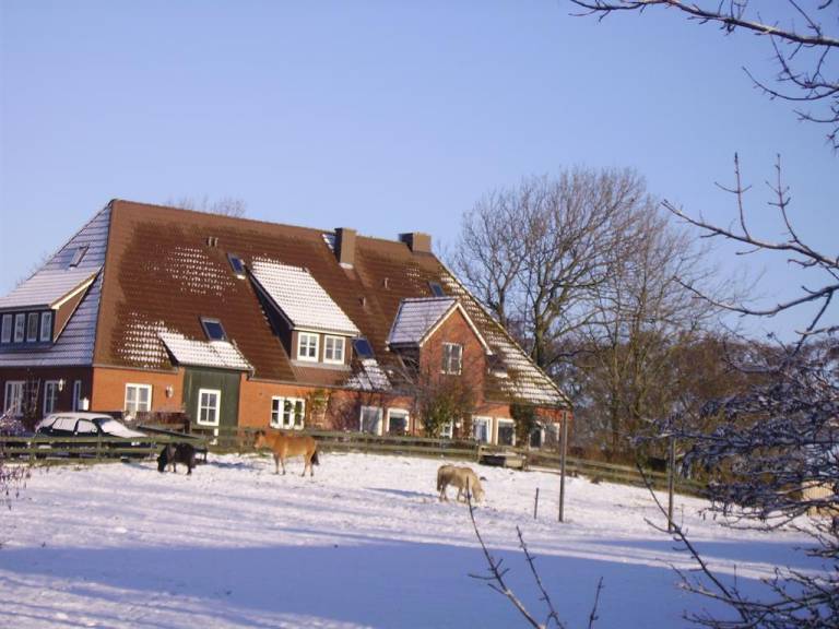 foto10