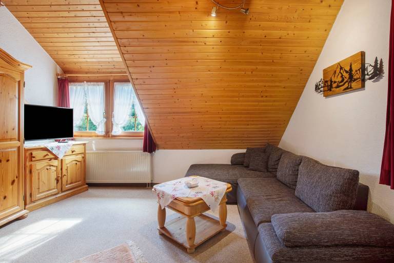 Rental apartment with garden, grill & terrace in Todtmoos